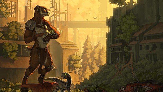 为什么很多公司都不招大龄码农？